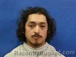 Mugshot of FIDEL RICON CARRILLO