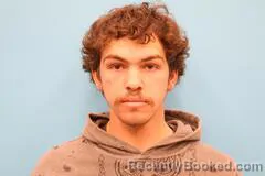 Mugshot of Dylan Surber