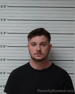 Mugshot of David Lynn Park