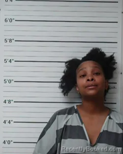 Mugshot of Destinee Raekelle Brown Thomas