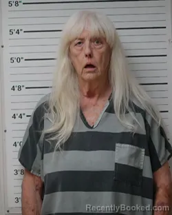 Mugshot of Karen Bentz Carter