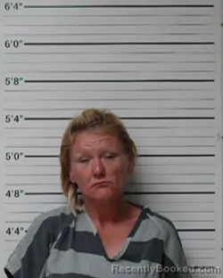 Mugshot of Jodie Lynn Hampton