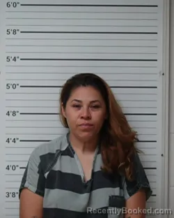 Mugshot of Cinthya Carranza Hernandez