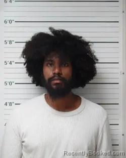 Booking photo from Kerr County, Texas