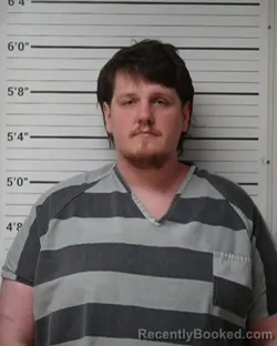 Mugshot of Tanner Wade Stout