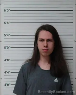 Mugshot of Matthew Karac Whitfield