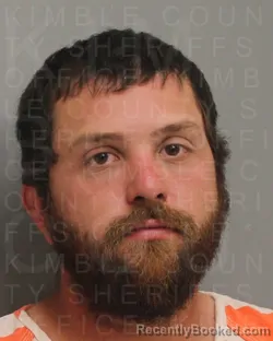 Mugshot of DYLAN RAY WALKER