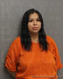 Mugshot of AXELI JASMAR LOPEZ