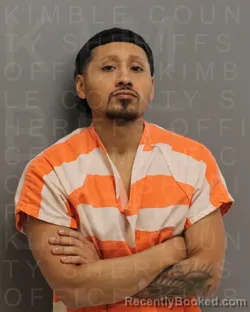 Mugshot of FRANCISCO GUEVARA