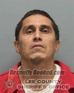 Booking photo from Lee County, Florida