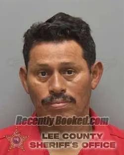 Booking photo from Lee County, Florida