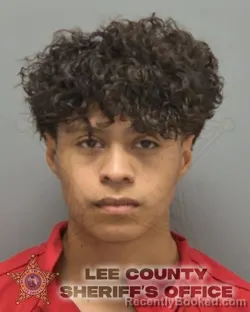 Booking photo from Lee County, Florida
