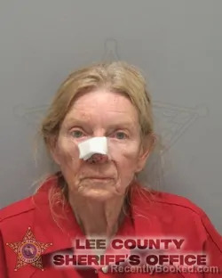 Mugshot of SANDRA JEAN OLSON