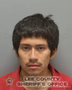 Mugshot of DAVID SICA