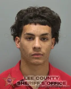 Booking photo from Lee County, Florida