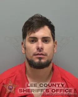 Mugshot of JORDAN RUIZ DELVIS