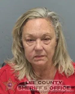 Mugshot of SANDI ANN COLLINS