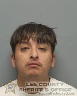 Booking photo from Lee County, Florida