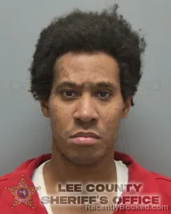 Booking photo from Lee County, Florida