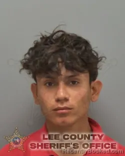 Booking photo from Lee County, Florida