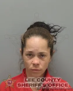 Mugshot of DORAIMY DEL VALLE