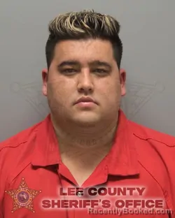 Mugshot of RONNEY CHOY DIAZ
