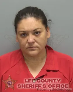 Booking photo from Lee County, Florida