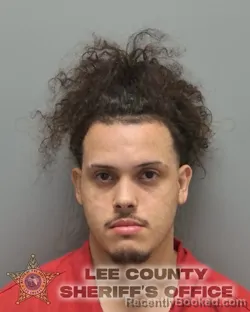 Booking photo from Lee County, Florida