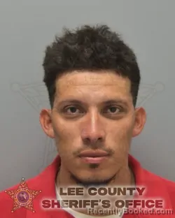 Mugshot of LUIS ALONSO MEDINA SANTOS
