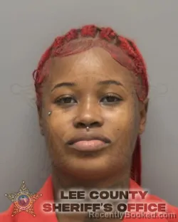 Booking photo from Lee County, Florida