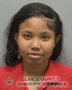 Booking photo from Lee County, Florida