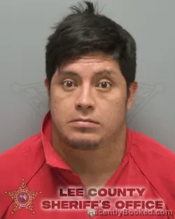 Booking photo from Lee County, Florida