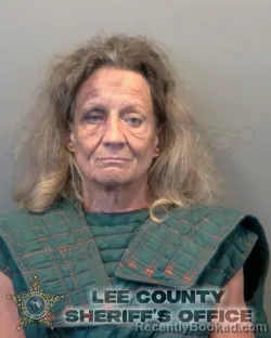 Mugshot of DEBRA PAULINE STAHLI