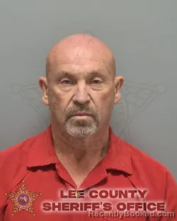 Mugshot of JOHN DAVID NALER