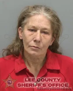 Mugshot of MICHELLE ANNE DEARING