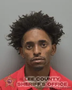 Mugshot of SANDER BRUN