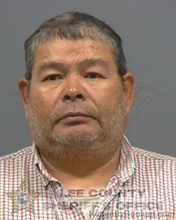 Mugshot of HUNG MINH TRINH