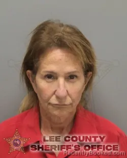 Mugshot of TONI ANN TOTO