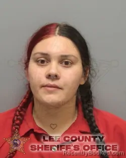 Mugshot of ANDRIS LYSVET NAVARRO-RIVERA