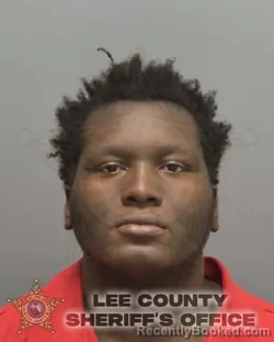 Mugshot of WILLOW HARVEY PETIT HOMME