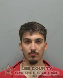 Mugshot of GABRIEL GILIARDI DOS SANTOS