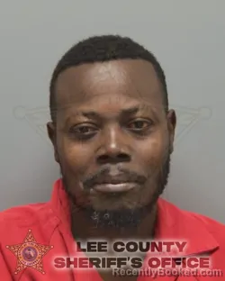 Mugshot of DANY DESAMOUR