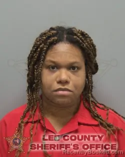 Mugshot of KIMBERLY BRIZARD