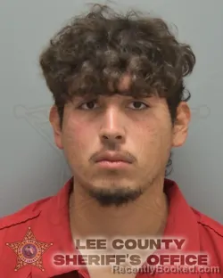 Mugshot of GIBSON ESTIVEN ALFARO SILVA