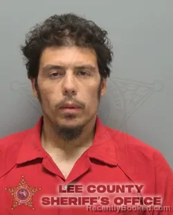 Mugshot of JORGE ANTONIO SALDIVAR