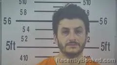 Mugshot of MENWER ALKOFAHI