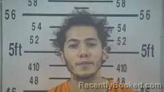 Mugshot of JUSTIN WALLACE