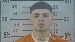 Mugshot of GINO FLORES