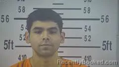 Mugshot of JULIAN RAMIREZ