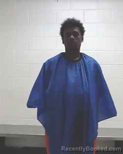 Mugshot of DAJUAN GERALD PUNCH